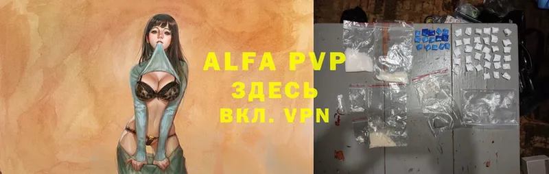 дарнет шоп  Дно  Alfa_PVP крисы CK 